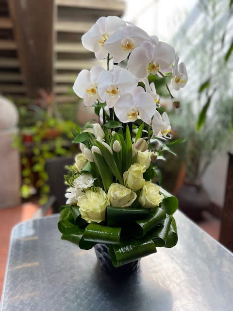 Chérie Elegance: Orchids and Tulips in Harmonious Arrangement - The Chérie Orchids and Tulip Arrangement is a striking display of elegance that combines the delicate beauty of orchids with the vibrant charm of tulips. Orchids, renowned for their intricate and refined blooms, harmoniously intermingle with bright and cheerful tulips to create an arrangement that embodies grace and vitality. This arrangement is a true masterpiece where the graceful orchids and lively tulips complement each other, resulting in a symphony of elegance. Join us as we delve into this stunning arrangement, where each bloom symbolizes beauty, charm, and the artistry of nature.  Item: 107  This arrangement includes a newly cleaned planter with good-quality water &amp; flower food.   How To Take Care Of Orchid Plants Indoors: Watering: Usually, every 7-10 days. Allow the plant to drip dry before returning to the decorative pot. Light: Medium to bright indirect light indoors. Temperature: Moderate room temperature, 65-75 degrees. Avoid extreme temperatures and drafts. Fee: There is no need to fertilize to enjoy the first bloom, then monthly. 