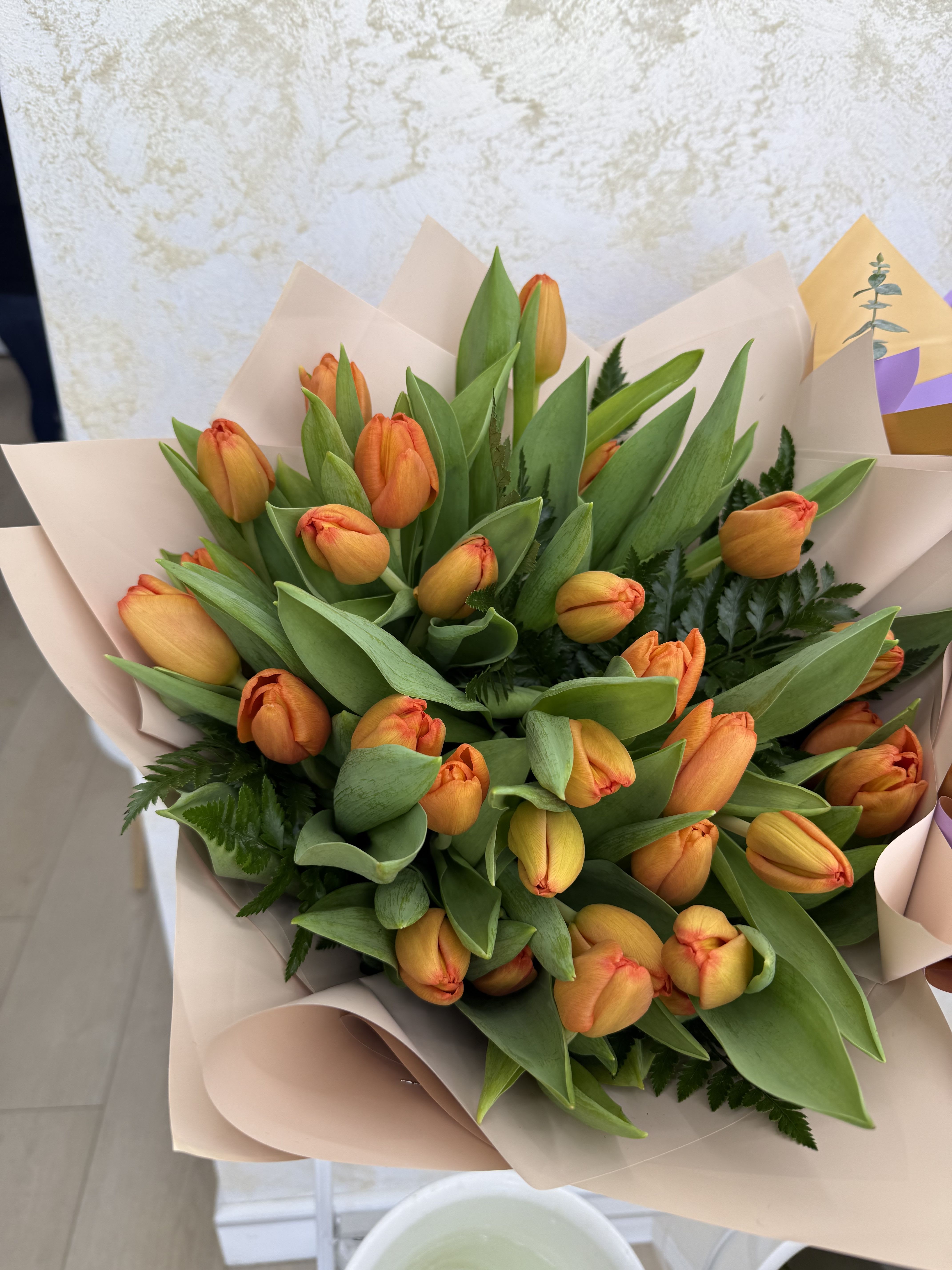 Tulips  - Bouquet of tulips 