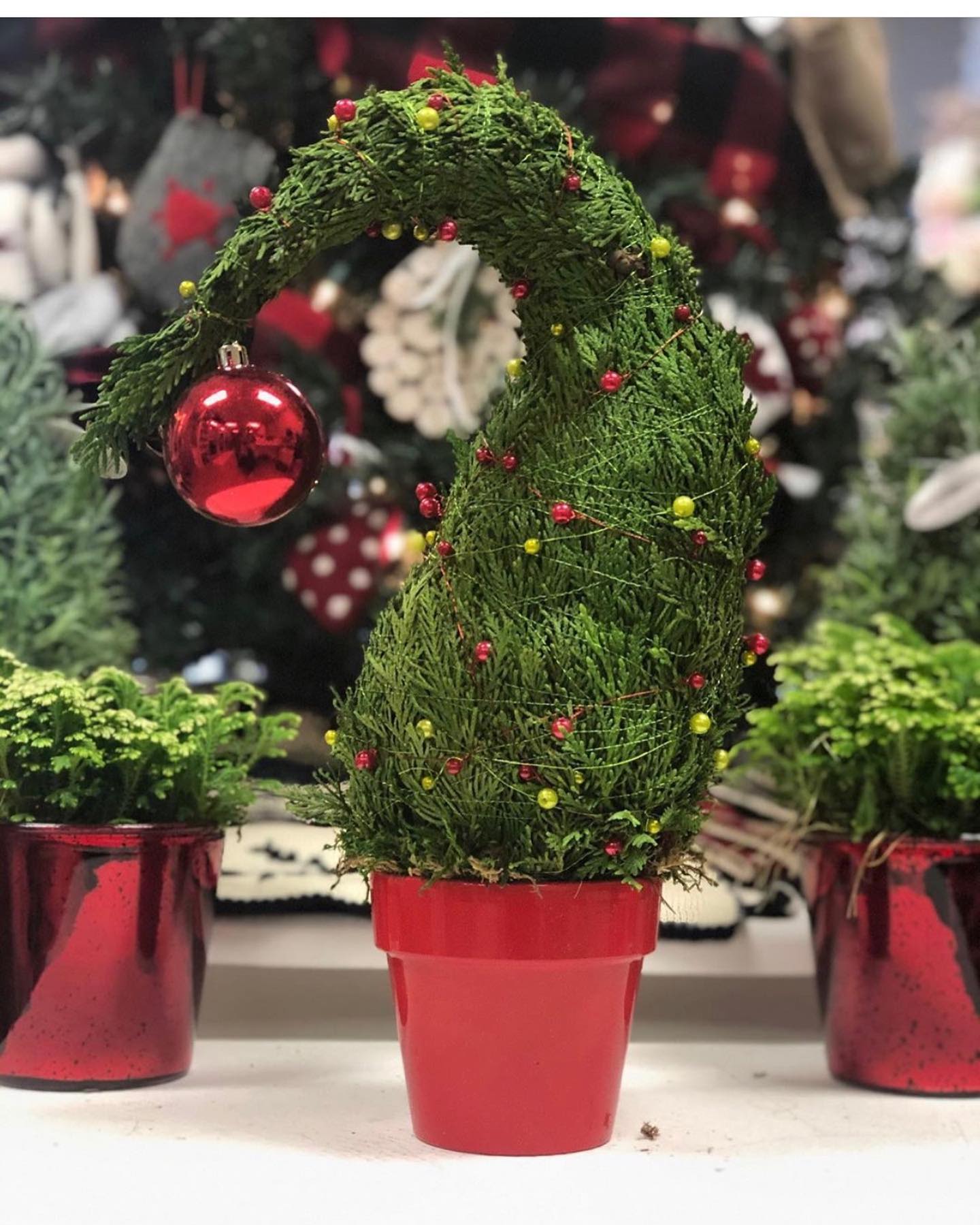 Whoo Tree - Mini cedar tree with ornament 