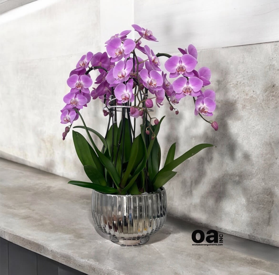 Same Day Pink Orchid Cascading - A high quality Seven pink flower orchid arrangement with a vase 12&quot; D X 7&quot; T. An orchid arrangement deliver for any occasion design with fresh natural real beautiful Phalaenopsis cascade orchid plant minimalist decor.
