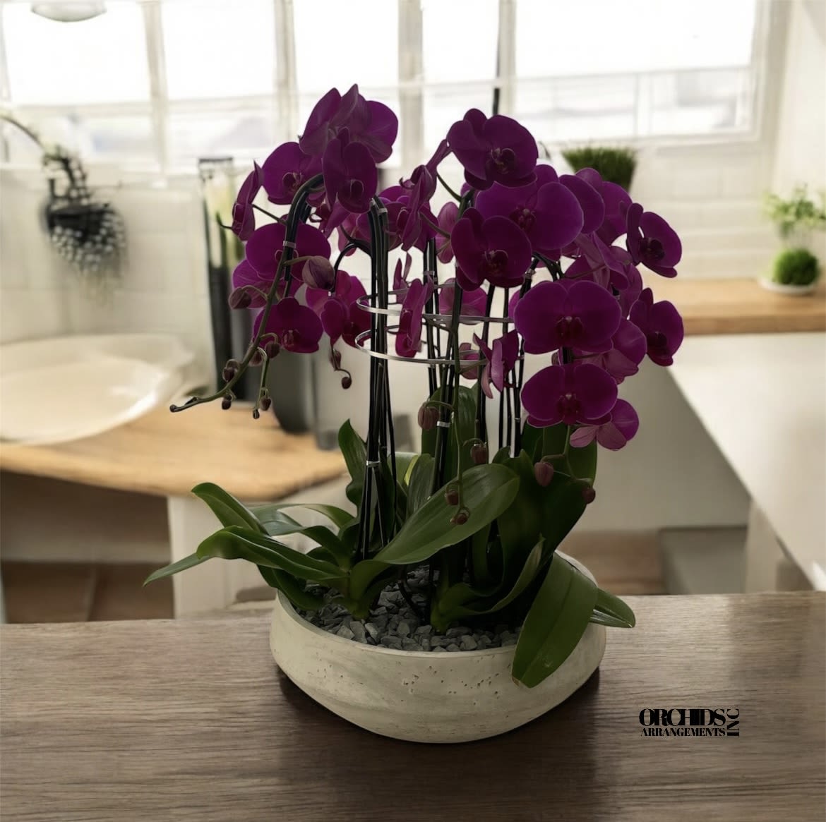 Same Day Purple Orchids Swan - A high quality Seven purple flower orchid arrangement with a vase 16.5&quot; D X 6&quot; T. An orchid arrangement deliver for any occasion design with fresh natural real beautiful Phalaenopsis cascade orchid plant minimalist decor.