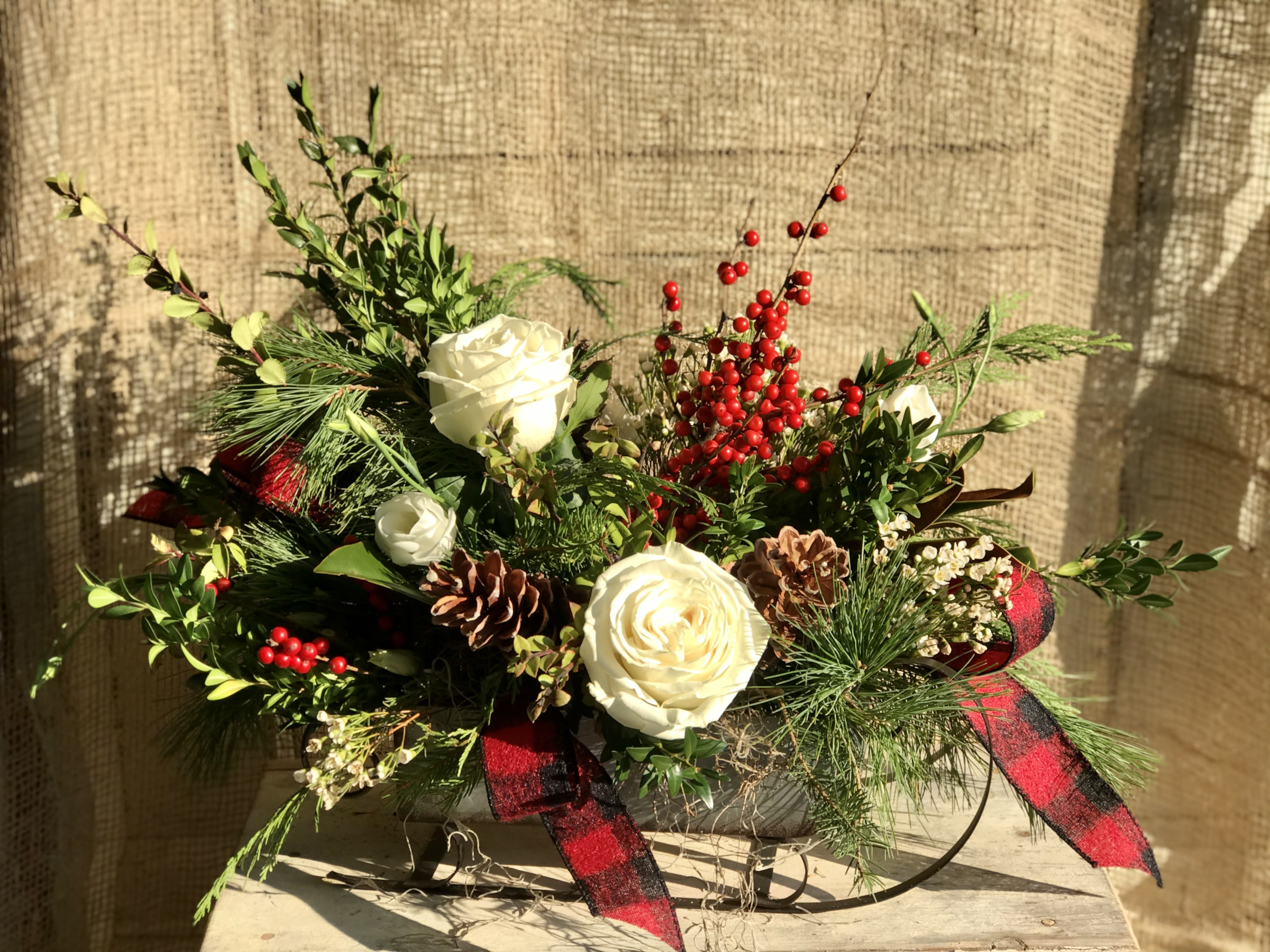 Dashing Through the Snow - This metal sleigh carries an assortment of fragrant evergreens, assorted red and white fresh accents, pines cones and buffalo plaid ribbon. The finished design is large and measures roughly 18&quot; long by 12&quot; wide and 16&quot; tall. Flower varieties may vary slightly from the photo based on inventory.
