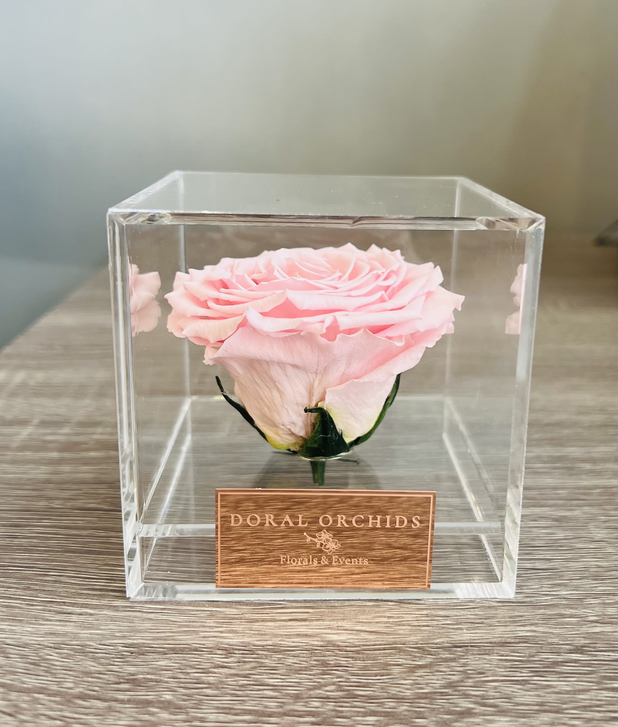 Forever Rose pink ™ - Soft and romantic, this preserved blush pink rose rests elegantly in a clear acrylic display. Natural yet long-lasting, it stays flawless for 3 or more years.