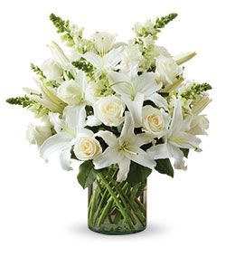 Classic All White Sympathy - The White Arrangement For Sympathy is a timeless and elegant display of your condolences, created by our talented designers using white roses,  lilies, and snapdragons, accented with fresh greenery. It's a classic way to express care and understanding during times of sorrow.