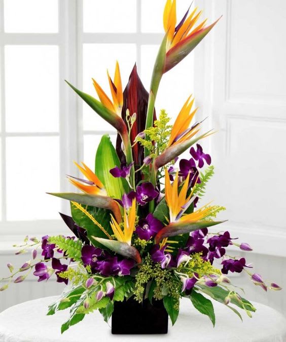 Aloha Señorita - Be transported to the tropics with this combination of birds of paradise and dendrobium orchids. Snow and dry weather getting to your bones? forget about it with this elegant and fresh tropical arrangement.   Call us with questions.  
