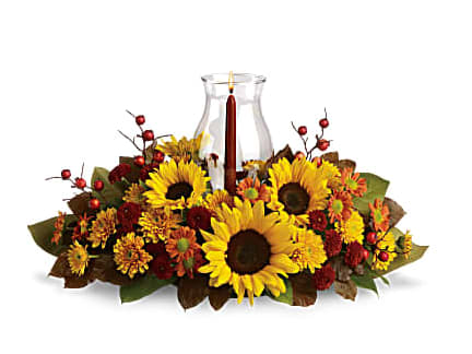 Sunflower Centerpiece - Sunflowers are the stars of this fabulous fall flower centerpiece! All the classic autumnal colors are here, plus a glowing glass hurricane, making it a heartwarming decoration for your Thanksgiving table, kitchen counter or powder room. Stunning sunflowers add bright energy to this beautiful arrangement of bronze daisies, bronze cushion mums and rust button mums. Accented with red ilex berries, brown copper beech leaves, magnolia leaves and salal. A cranberry taper candle glows inside a glass hurricane vase.