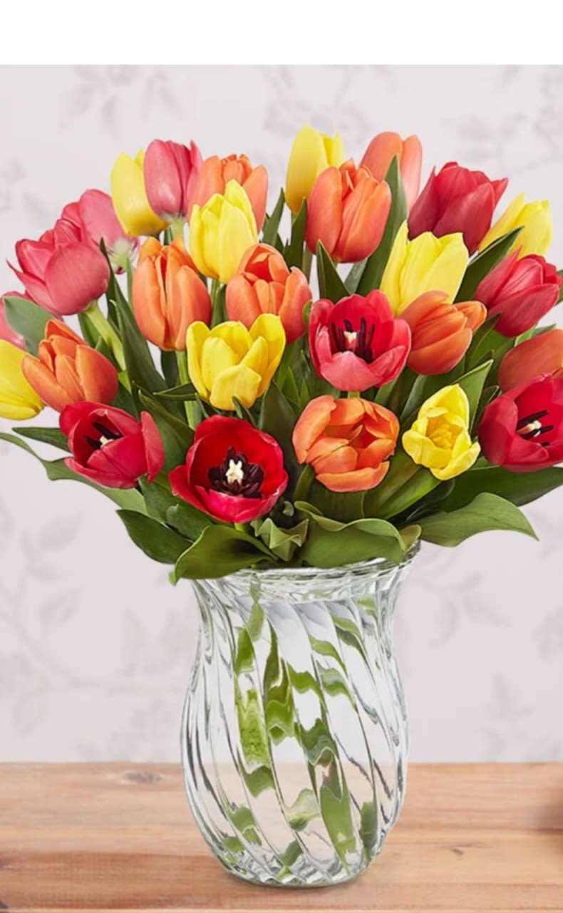 Fall Mixed Colored Tulips - Send holiday joy with our fall mixed tulip bouquet of radiant fall colored blooms. Tulips are traditionally a symbol of spring, but these special holiday tulips will bring warmth and joy to every seasonal celebration. Plus, for a limited time they come with a complimentary glass vase.  10-$39.95 20-$59.95 30--$79.95 as shown