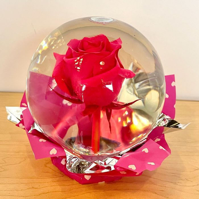 Rose Globe - Surprise the ones you love with our new rose globe gift! It's soo gorgeous 100% real rose that looks so beautiful in a glass globe. Pair it with chocolate or a teddy bear to make it extra special. These beautiful REAL, not artificial. They are the perfect gift for any occasion. They come in many different colors.