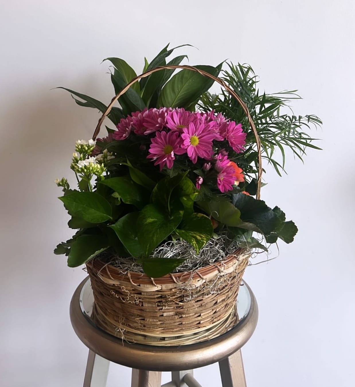 Garden Basket Purple Bloomed - A fun basket of easy-to-care-for house plants that are brightened by a splash of color with a blooming plant.