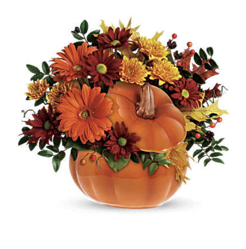 Country Pumpkin - DESCRIPTION VASE SIZES This pumpkin is sure to please! Send your special someone fall flowers and a keepsake gift with this reusable ceramic pumpkin arrangement. The fun Halloween decoration or spirited fall floral decoration for the home or office can later be used to serve Thanksgiving soup or stuffing! Orange gerberas, bronze cushion mums, red daisies, huckleberry and salal are accented with yellow oak leaves and artificial fall berries. Presented in a reusable ceramic pumpkin container. Orientation: One-Sided