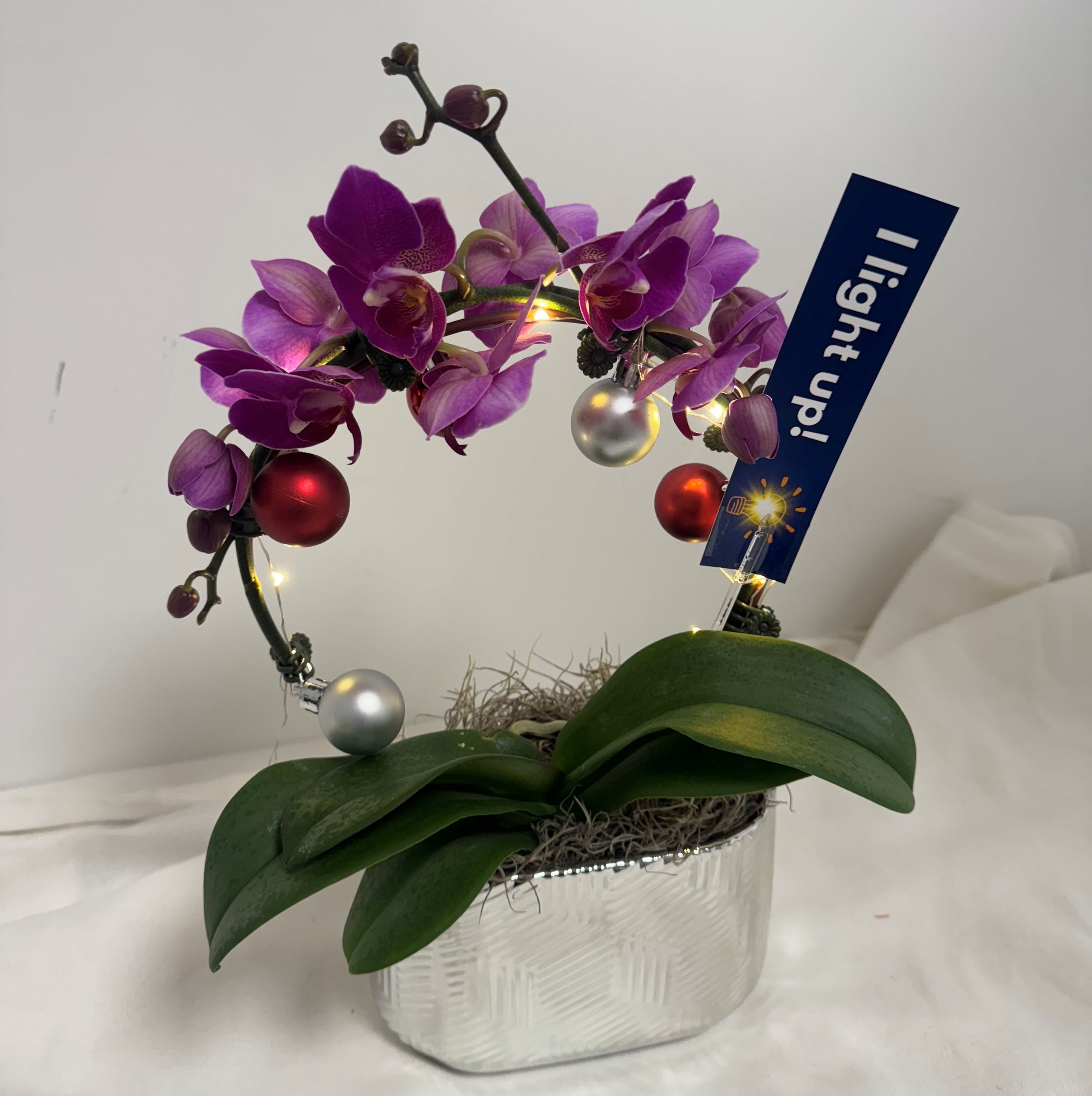 Light Up Mini Orchid - Mini Orchid with ornaments and lights in a silver container. Colors will vary.