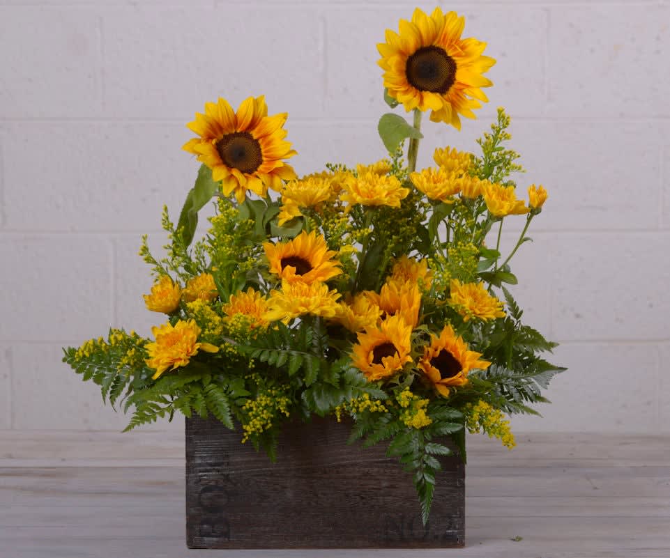 Whimsical Sunflower Box - Rise and shine for our Whimsical Sunflower Box! Send her a sunrise with this golden bouquet of bright-as-day sunflowers reach as high as the sky. It's the perfect gift for any occasion or just for the light of your life. Filled with sunflowers, yellow chrysanthemums, solidago and lush deep greens. 