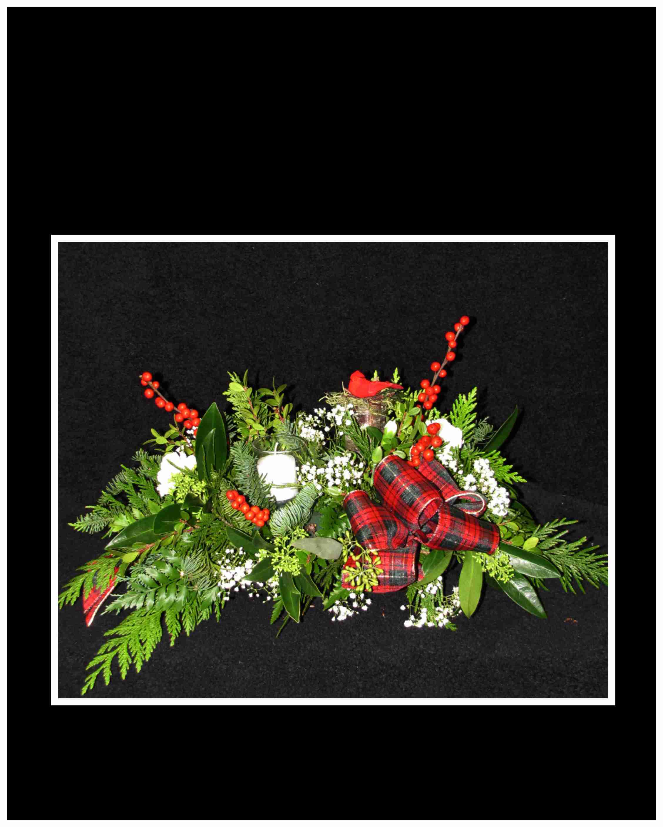 Cardinal Way Center Piece - A classic low table arrangement with white spray carnations, babies breath, red cardinal bird, ilex berries, lush Christmas greens a red tartan ribbon bow with a votive candle and holder.  Approximately 11 H&quot; X 18&quot; long