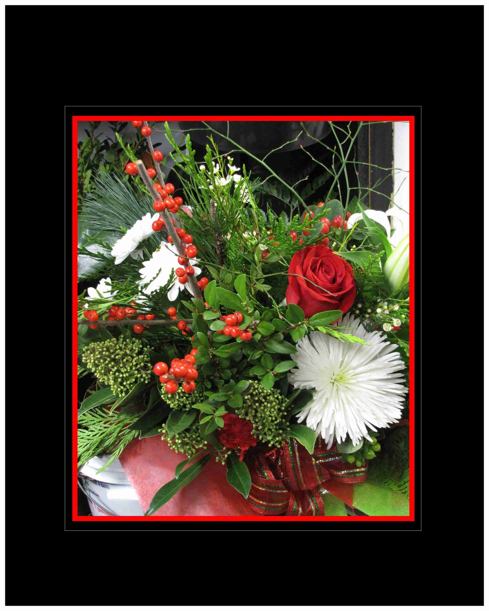 Christmas Hand Tied Bouquet - Let our staff build you a wonderful hand tied bouquet that we are famous for! Full of Christmas greenery and cheer all designed in the hand ready for your vase simply cut the stems. Our style originates from European designs and traditions. Choose the price that's right for you