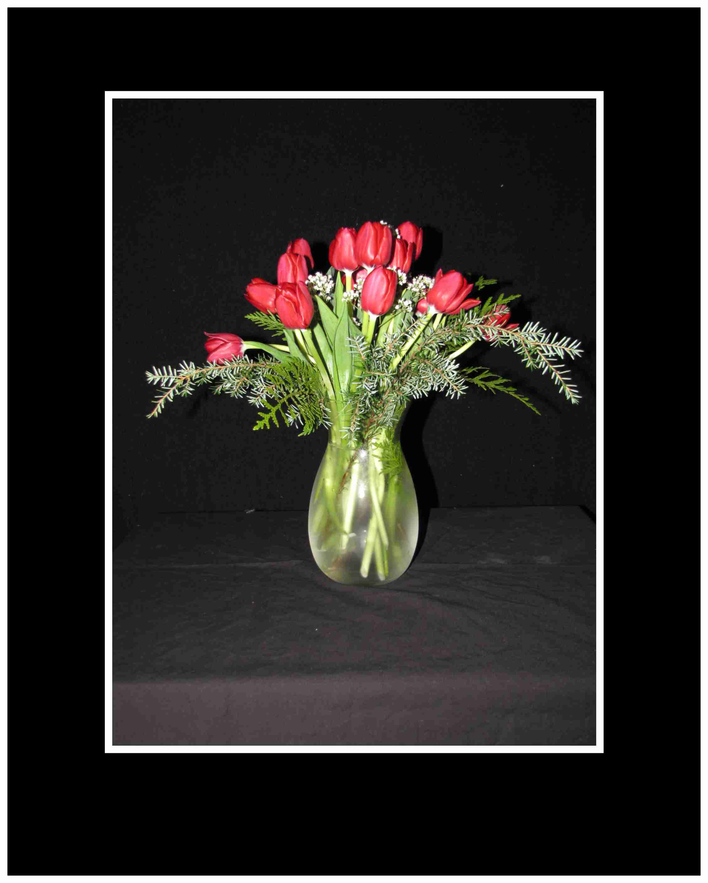Christmas Tulips Bouquet - If they love tulips, send a Vase Christmas tulips grown right here in BC  Always fresh  Aprox 12&quot; x 10&quot;