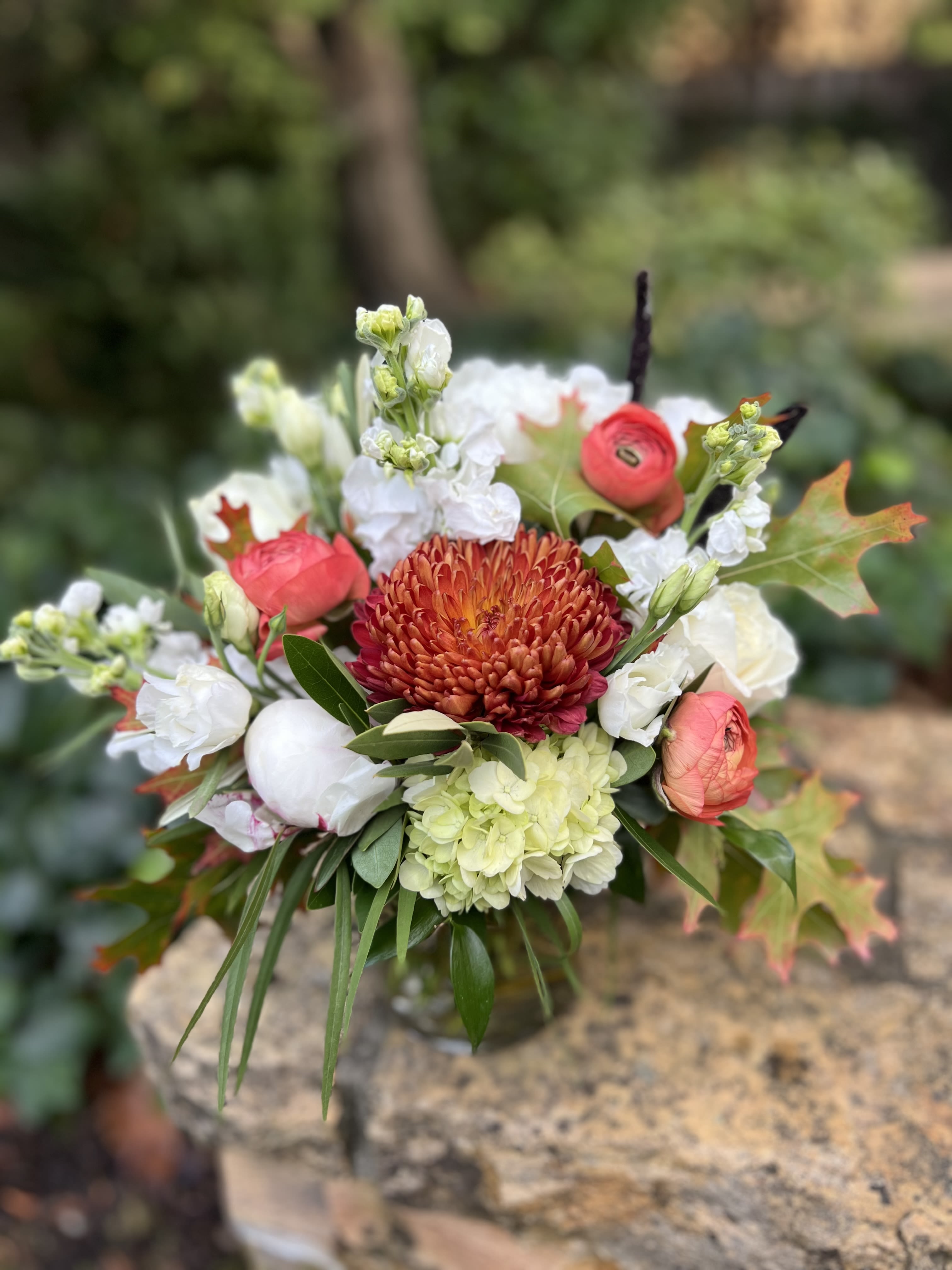 Autumn Chic  - A luxurious Fall arrangement in whites including peonies, roses, and stock accented with brown mums, pretty ranunculus, and Oak leaves. 