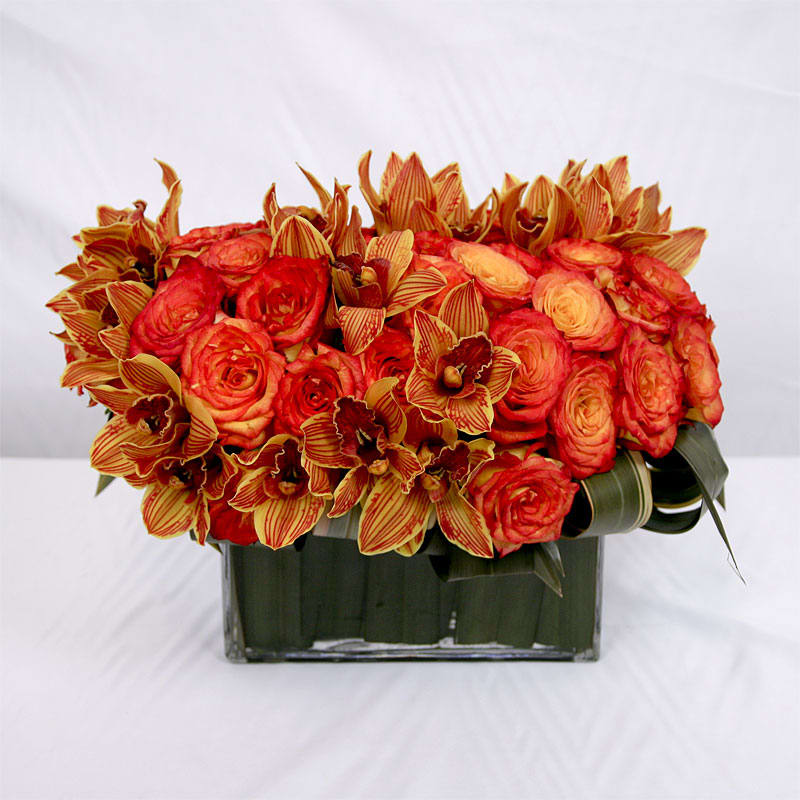 Blood Orange - Orange circus roses and rust-colored cymbidium orchids in a simple glass vase lined with dark burgundy leaves.