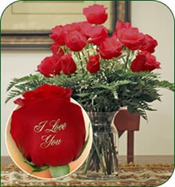 I Love You in Red - Dozen of long stem roses printed with I Love You across them  