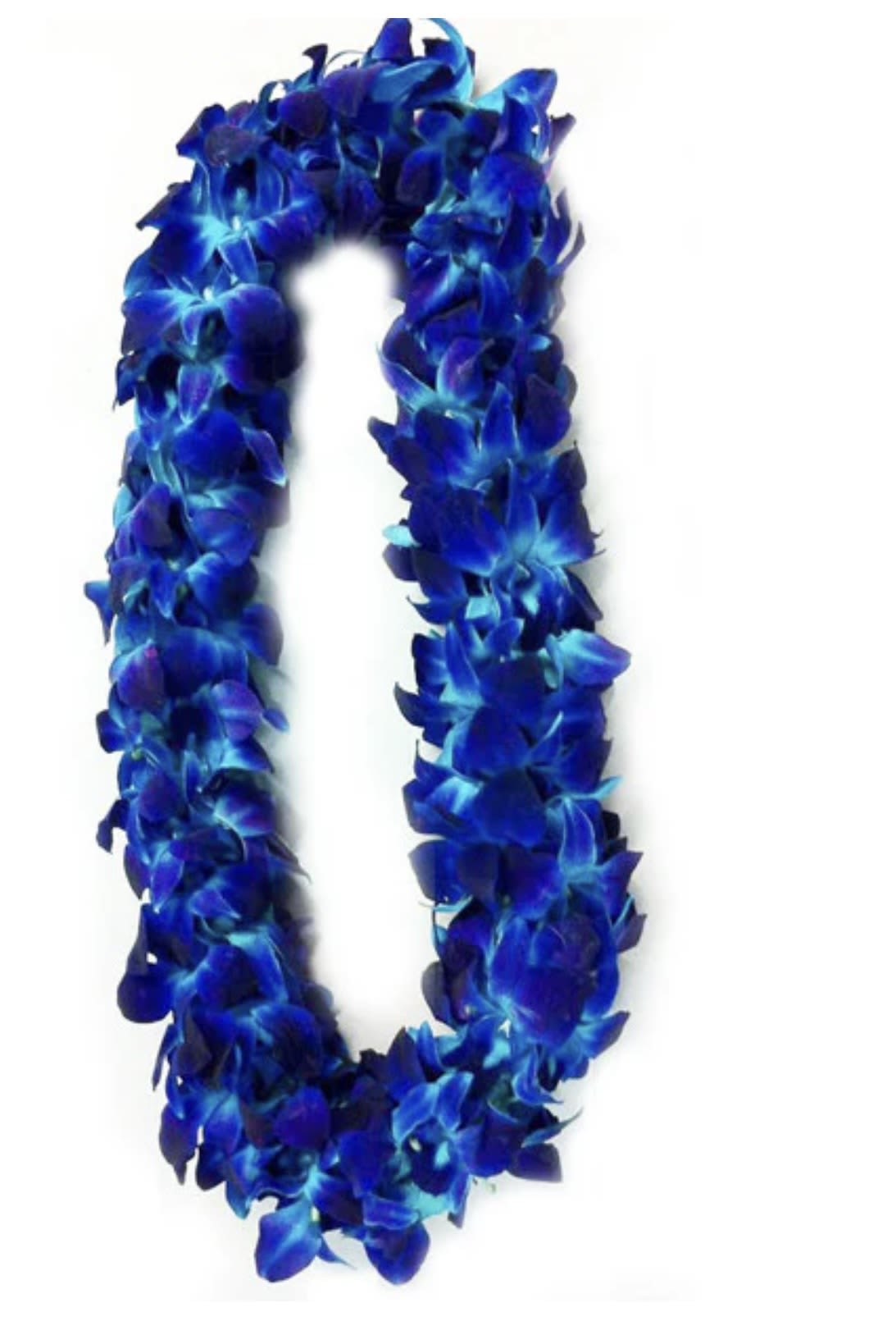 Double royal blue orchid lei - Handcrafted orchid lei perfect to celebrate any occasion.
