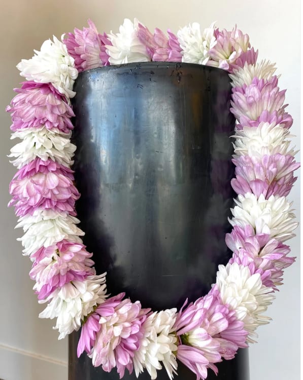 Daisy Lei - This beautiful daisy lei comes in white, yellow or lavender. Please specify color or colors. Deluxe and premium will have more flowers added.