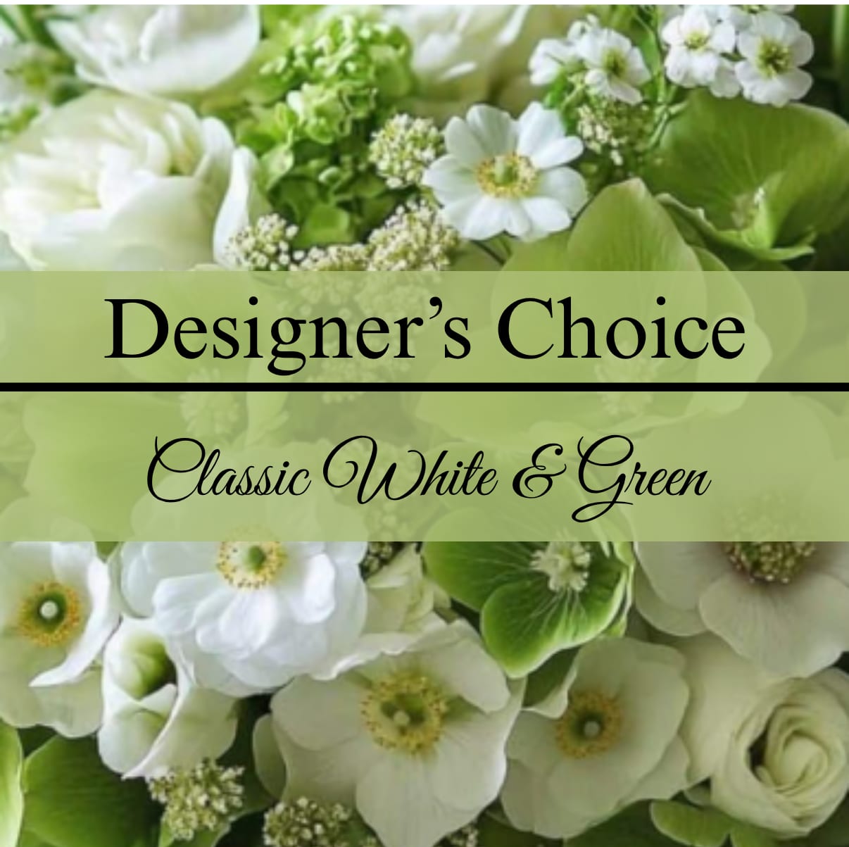 Designer's Choice White and Green - The classic white and green arrangement is always an exquisite choice. A mixture of white and green flowers with matching accent flowers in vase.