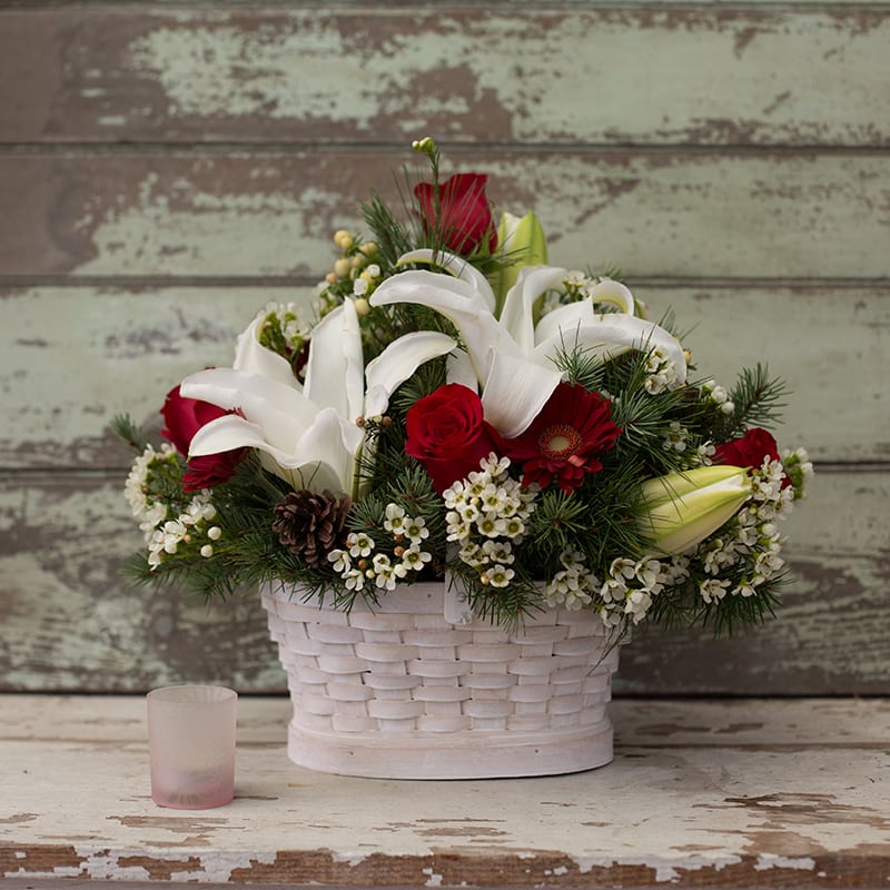 Christmas Cheer - The colors of the season! Red roses, red gerbera daisies, white lilies, berries, white wax, metallic balls and fragrant evergreens in a woven white basket will send Christmas cheer to those near or far. 