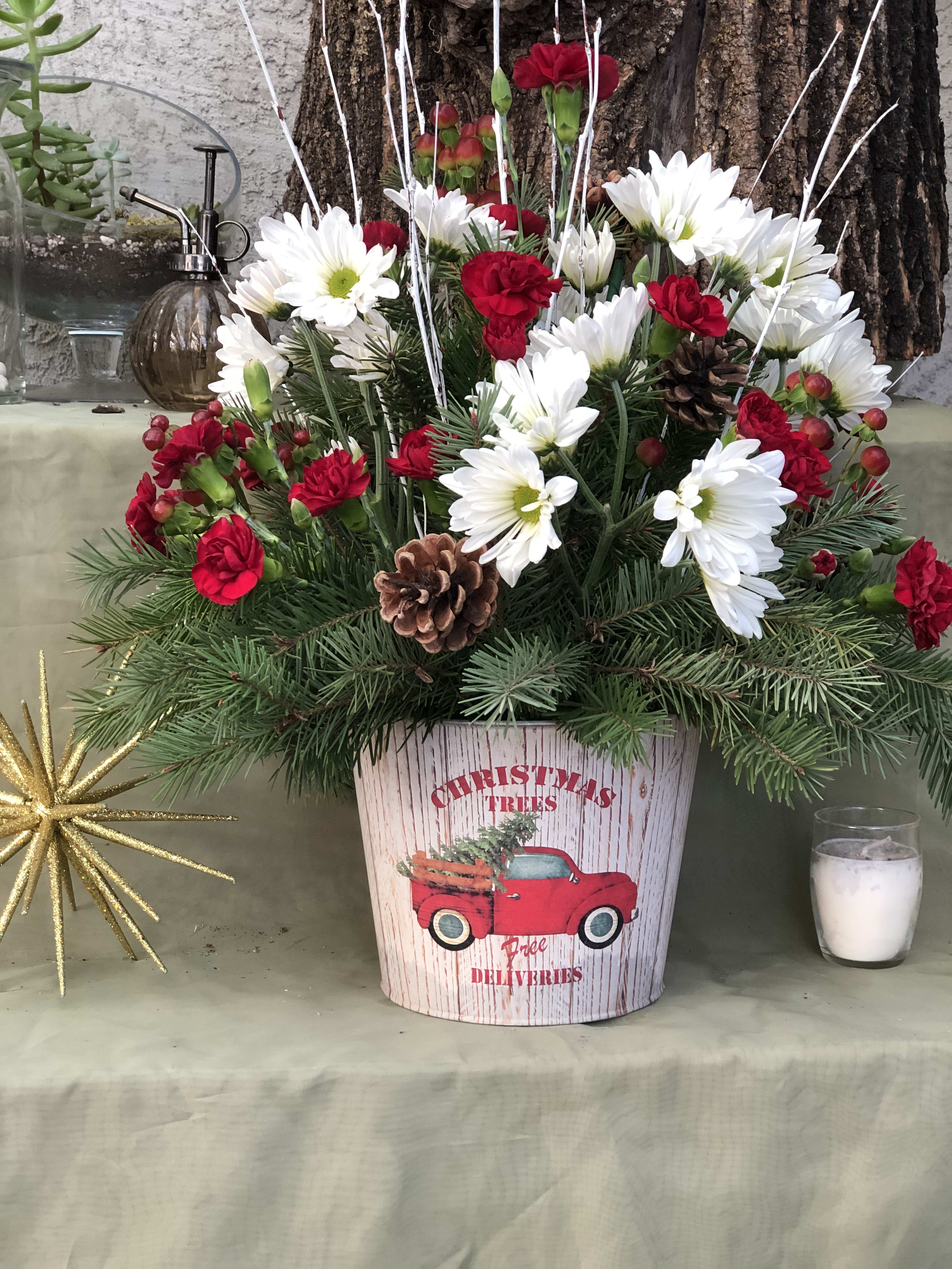 A Little Country - That cute Christmas tree haulin' Red Truck seems to be popping up everywhere this season.  And here it is in this classic holiday arrangement.  Fresh evergreens, daisies, mini carns and hypericum berries are sure to make this a long lasting arrangement that will brighten anyone's day and celebrate the season.  Near or far this holiday, this is a perfect one to send.