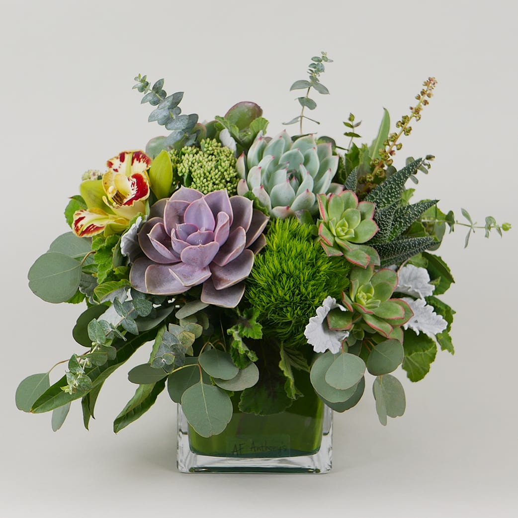 Go Green - This refreshing arrangement features an elegant mix of lush greenery, cymbidium orchids and gorgeous succulents in a leaf lined square vase.
