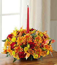 Graditude with an Attitude - Make it a habit to express thankfulness and appreciation in all parts of your life.  If you concentrate on what you have, you'll always have more.&quot; A thanksgiving centerpiece with a candle with an assortment of fall colored flowers, will set the mood and let your love one's know how thankful you really .