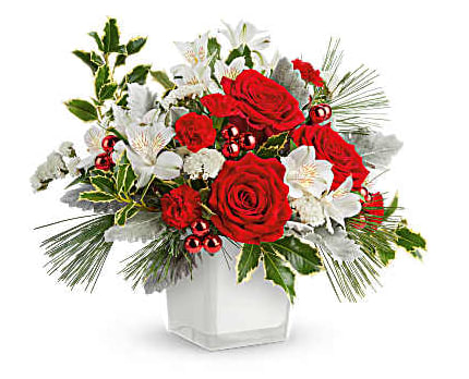 Teleflora's Festive Elegance Bouquet - Teleflora's Festive Elegance Bouquet shines with classic red roses, wintery white blooms, and lush holiday greens in a modern white cube. A sophisticated gift or Christmas centerpiece full of seasonal cheer. Teleflora's Festive Elegance Bouquet includes red roses, white alstroemeria, red miniature carnations, white sinuata statice, dusty miller, variegated holly, and white pine in a white glass cube Orientation: All-Around