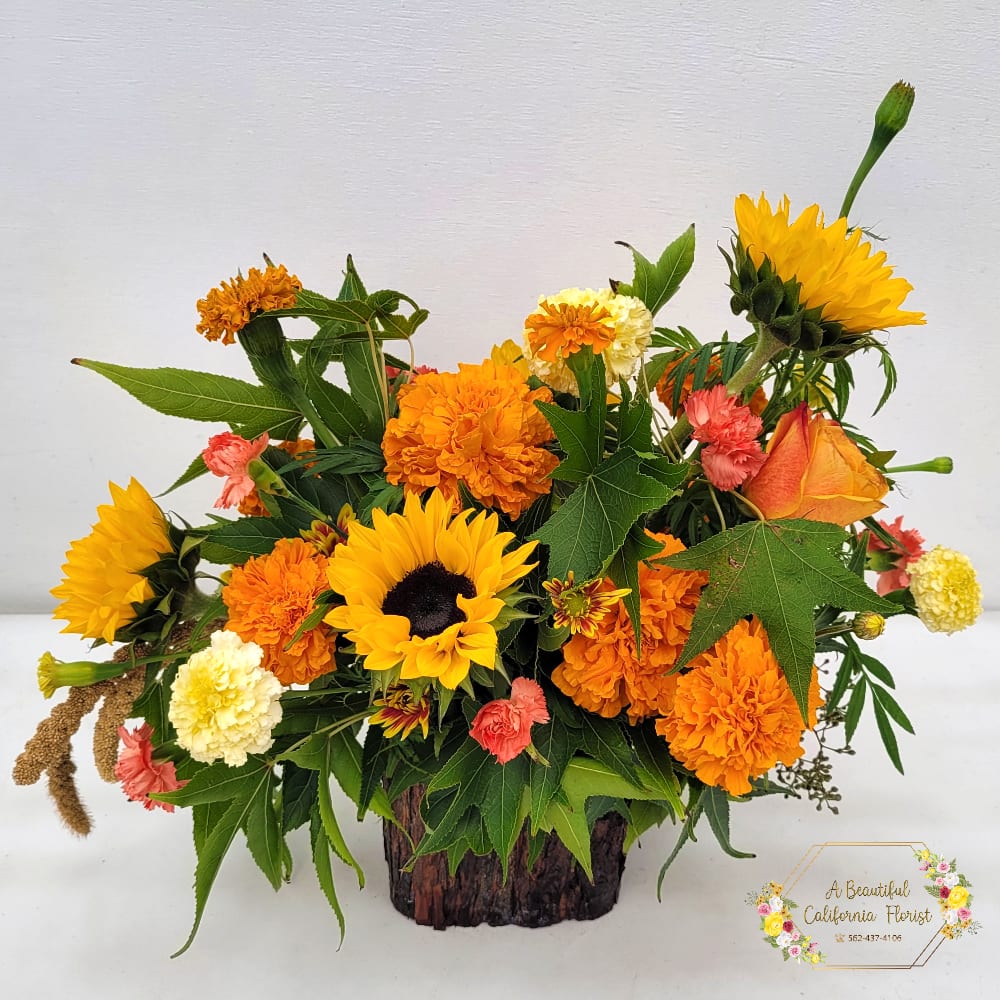 Autumn Shades - The change of seasons is upon us. Autumn Shades in fall colors and textures burst forth in this beautiful Fall arrangement. Perfect for a Birthday, Thank You, or that special someone who looks forward to Nature's last splendid show before the onset of winter. Roses, sunflowers, marigolds, daisy pom, carnations, millet add beauty. Textural verdant leaves and greens arranged by our Artisan florist in a rustic wood bark accented vase. Embrace the season, Autumn Shades. Only available from the best florist in Long Beach, A Beautiful California Florist. We offer same day flower delivery to all of Long Beach and surrounding communities. Approximate size: 18&quot; T x 20&quot; W