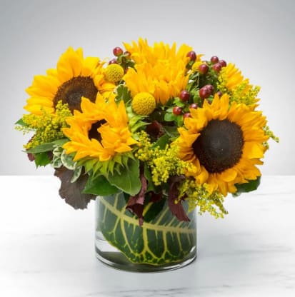 Sunny Sunflowers  - The sun is pretty great, but sunflowers are the greatest. Let’s prove it. The sun keeps us warm, we’ll admit it, but sunflowers never make us sweat. The sun gives us the daytime, which we appreciate, but sunflowers don’t go away for 12 hours per day day. Sunflowers, unlike the sun, know that would be rude. Finally, the sun gives us a nice tan once in awhile, but sunflowers have never given anyone a sunburn. This autumn, let sunflowers enhance your life, or the life of a loved one, with this Sunny Sunflower arrangement! You will not regret it.