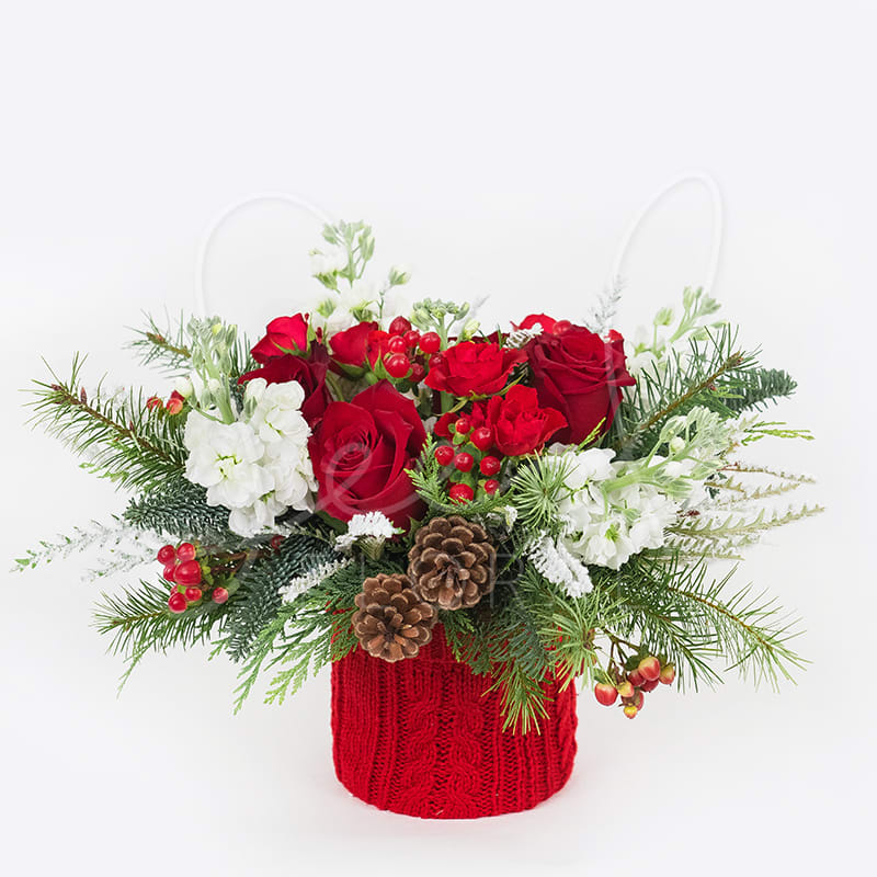 Baby, It's Cold Outside - Wrap yourself up in the cozy vibes of our coziest arrangement!  Full of fresh festive foliage plus seasonal florals such as roses, stock, spray roses, hypericum berries, accented with pine cones.   Featured in 5&quot; Red Cable knit sweater vase. (FULL SIDED)