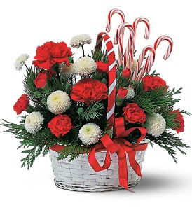 Candy Cane Basket - There's nothing sweeter than sending this festive basket. With its festive flowers and candy canes, it will add delicious decor to any room.  Carnations, chrysanthemums, cedar and fir, along with candy canes, arrive in a white wicker basket with handle, tied together with a red ribbon.  Approximately 13&quot; W x 14&quot; H  Orientation: All-Around  As Shown : TF86-4