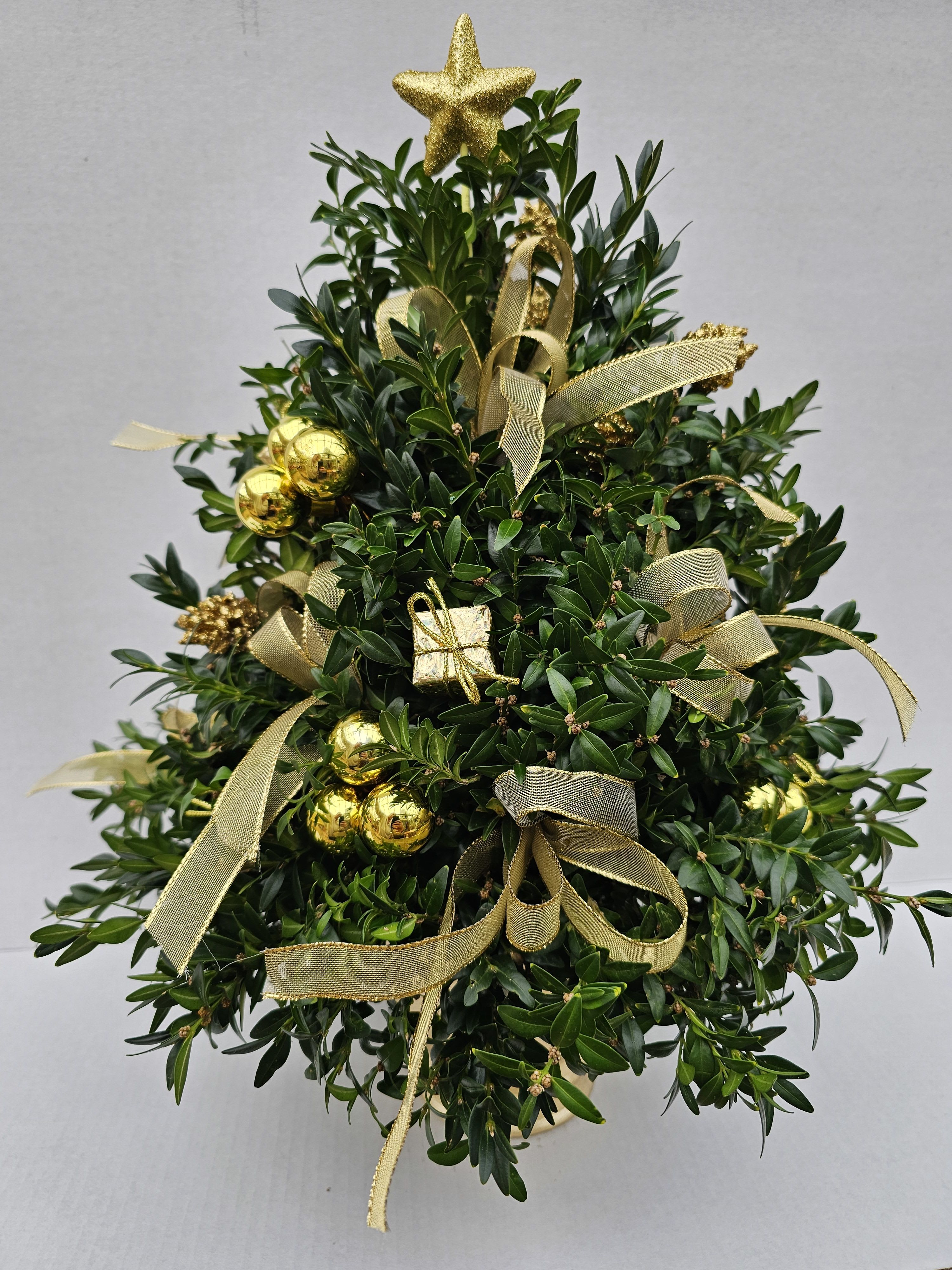 Gold Elegance Boxwood Tree - Cut boxwood branches shaped like a tree arranged in a gold vase.Adorned with gold bows,pinecones, and ornaments