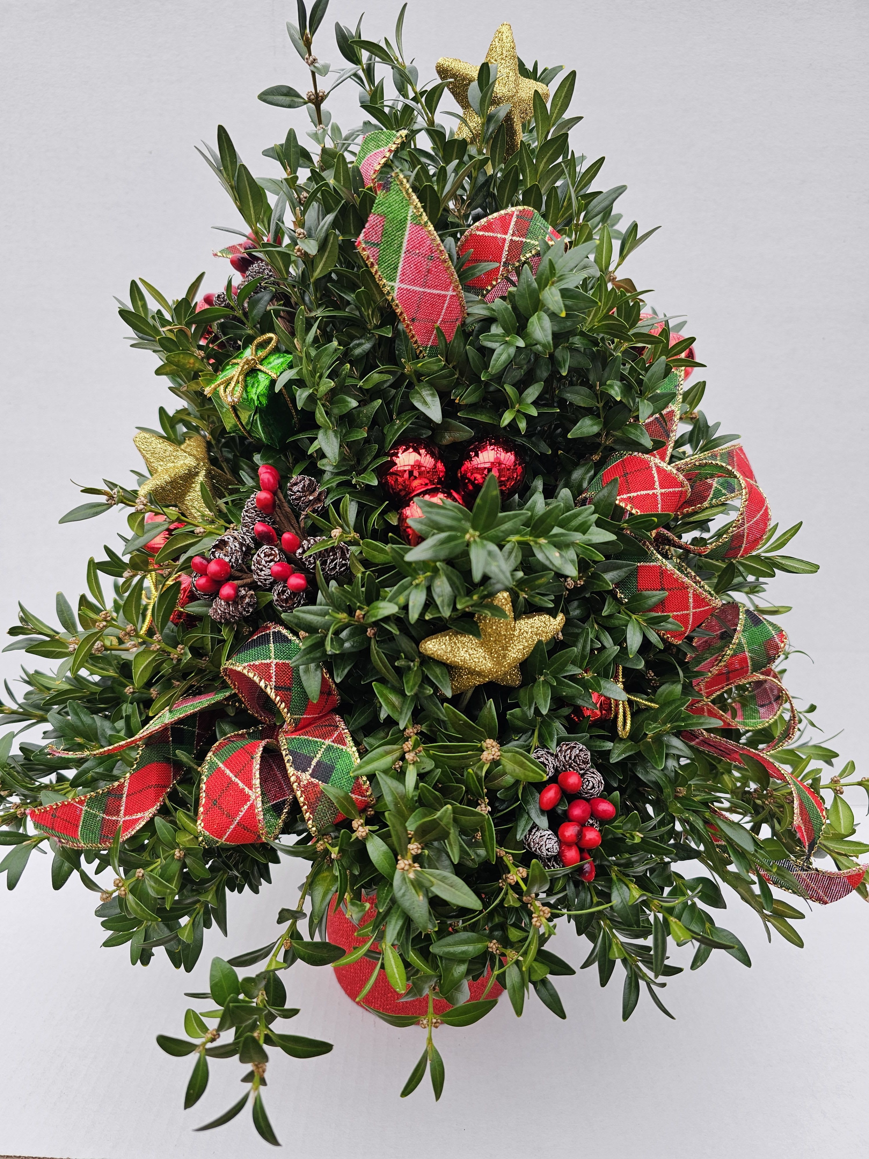 Traditional Boxwood tree - Cut boxwood arranged in red container. Adorned with bows,mini pinecones,star and present ornaments.