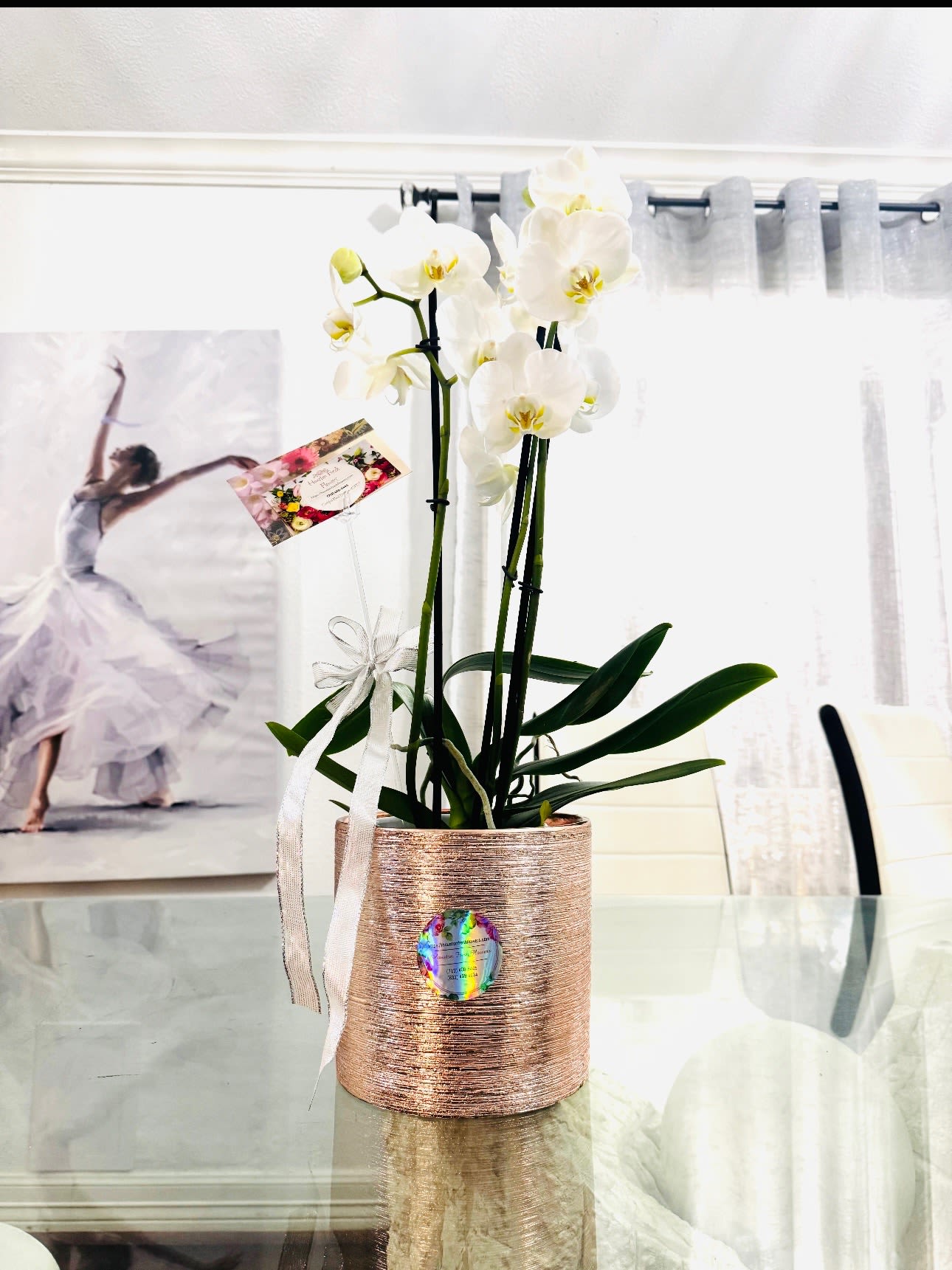 Orchids  - Beautiful Plant for any occasion. A beautiful orchid plant is the epitome of elegance and grace. With slender arching stems, each adorned with clusters of exquisitely shaped blooms, it exudes a quite sophistication. Symbolizing love, beauty, strength, and luxury. The orchid is more than just plant; It's a living sculpture, radiating refinement and timeless charm.