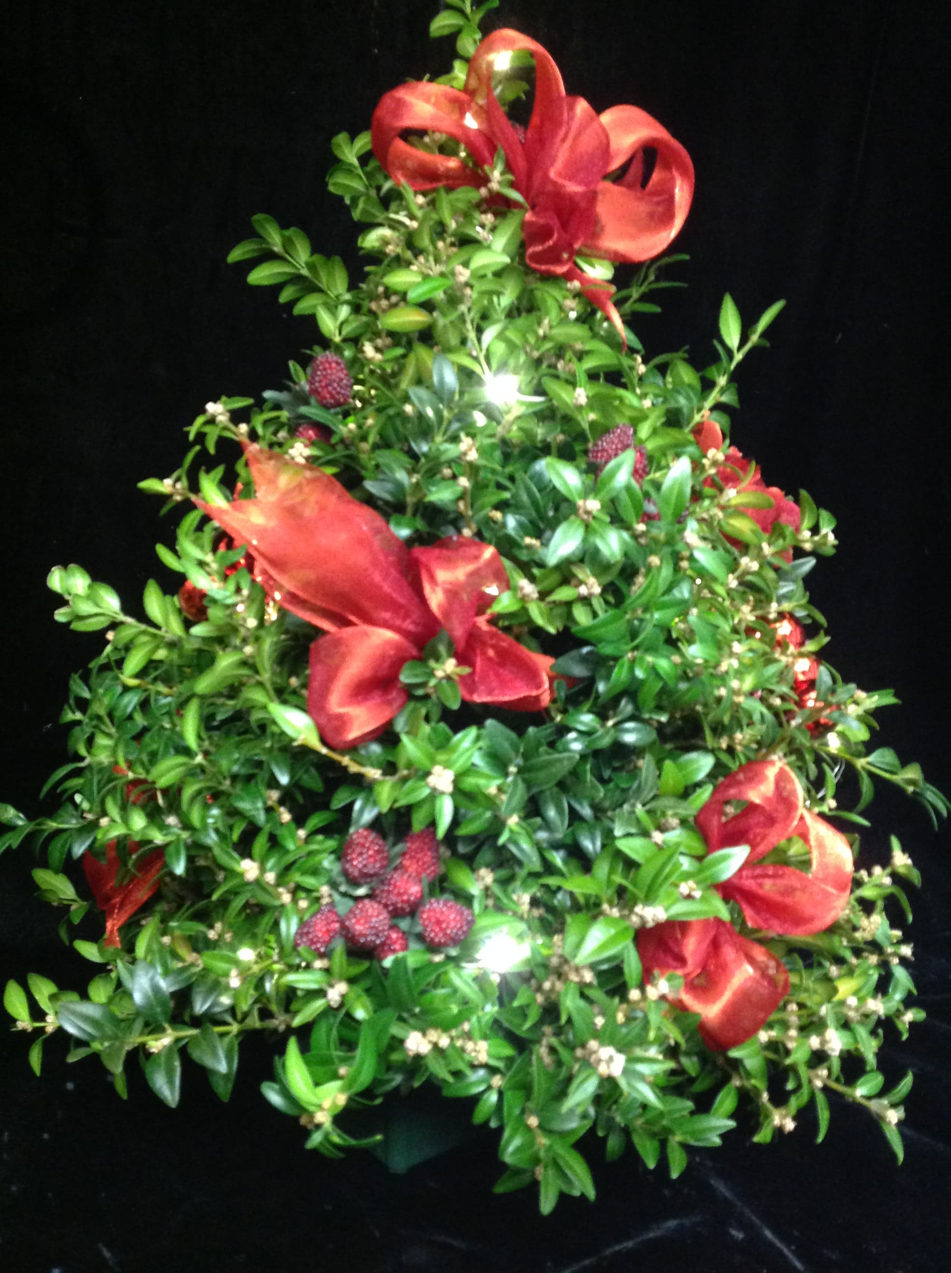 Boxwood Tree - The ever popular holiday boxwood is a traditional with so many! Adorned with ribbons baubles, berries , or cones and fairy lights! Approximately 18” tall