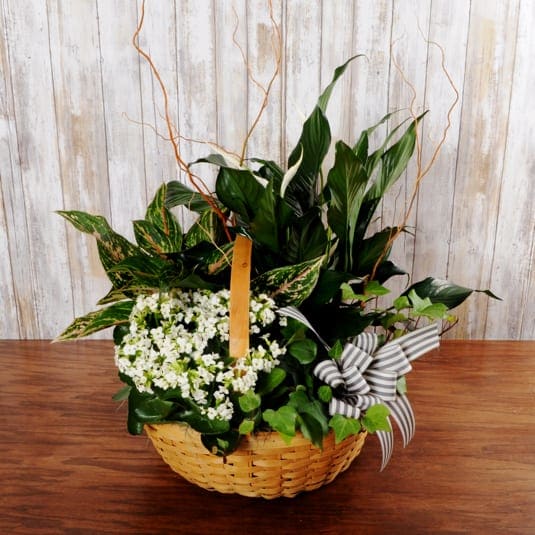 Lush Garden Basket - A large lush neutral garden basket with cute curly willow accents.
