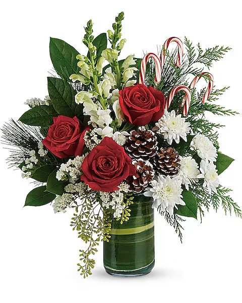 Festive Pines - An instant Christmas party, this festive bouquet bursts with fresh blooms of red and creme colored roses with winter greens and fun-filled candy canes. Red roses, creme roses and white snapdragons are wrapped in a variegated aspidistra leaf and accented with seeded eucalyptus, lemon leaf, flat cedar, white pine, candy canes, and small frosted pinecones. Delivered in Teleflora's clear glass cylinder vase. Orientation: One-Sided Ajax Florist | Same Day Flower Delivery | Garden 54 Flower Shop