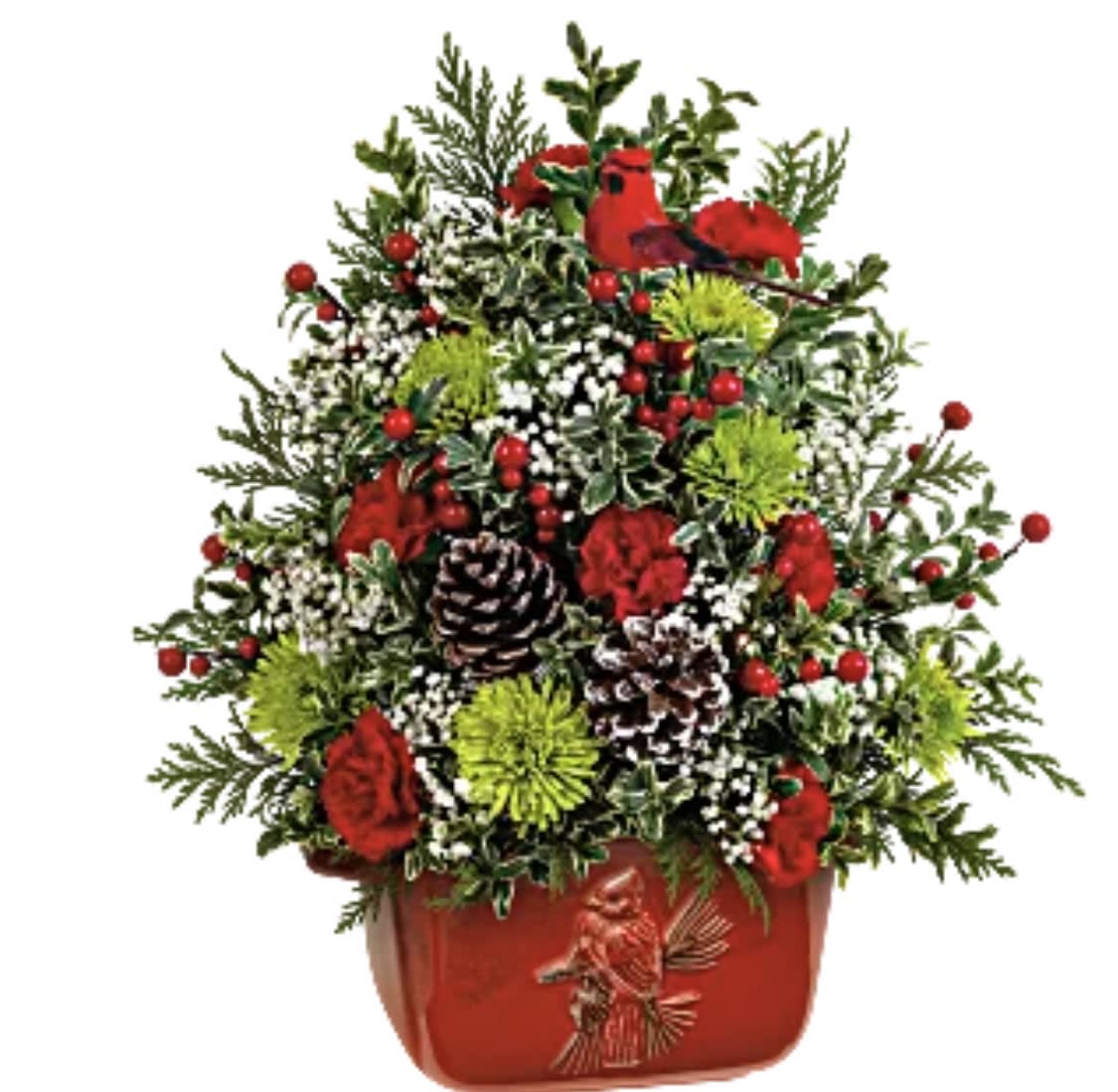 Cardinal Heirloom Tree - Cardinal Heirloom Tree