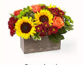 Happy Harvest Garden - Delight your friends and family with an assortment of bright Autumn colors in a rustic, textured container.