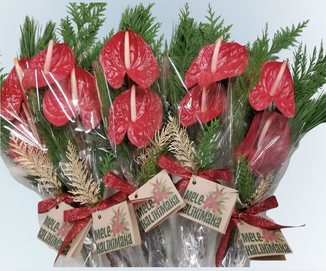 Mele Kalikimaka 5 Gift Bouquets - ***OTHER quantities available. Give us a Call***  Celebrate the festive season with our Christmas anthurium bouquet bundle. This exclusive set includes FIVE vibrant, small anthurium BOUQUETS. Perfect for family members, coworkers, or friends.