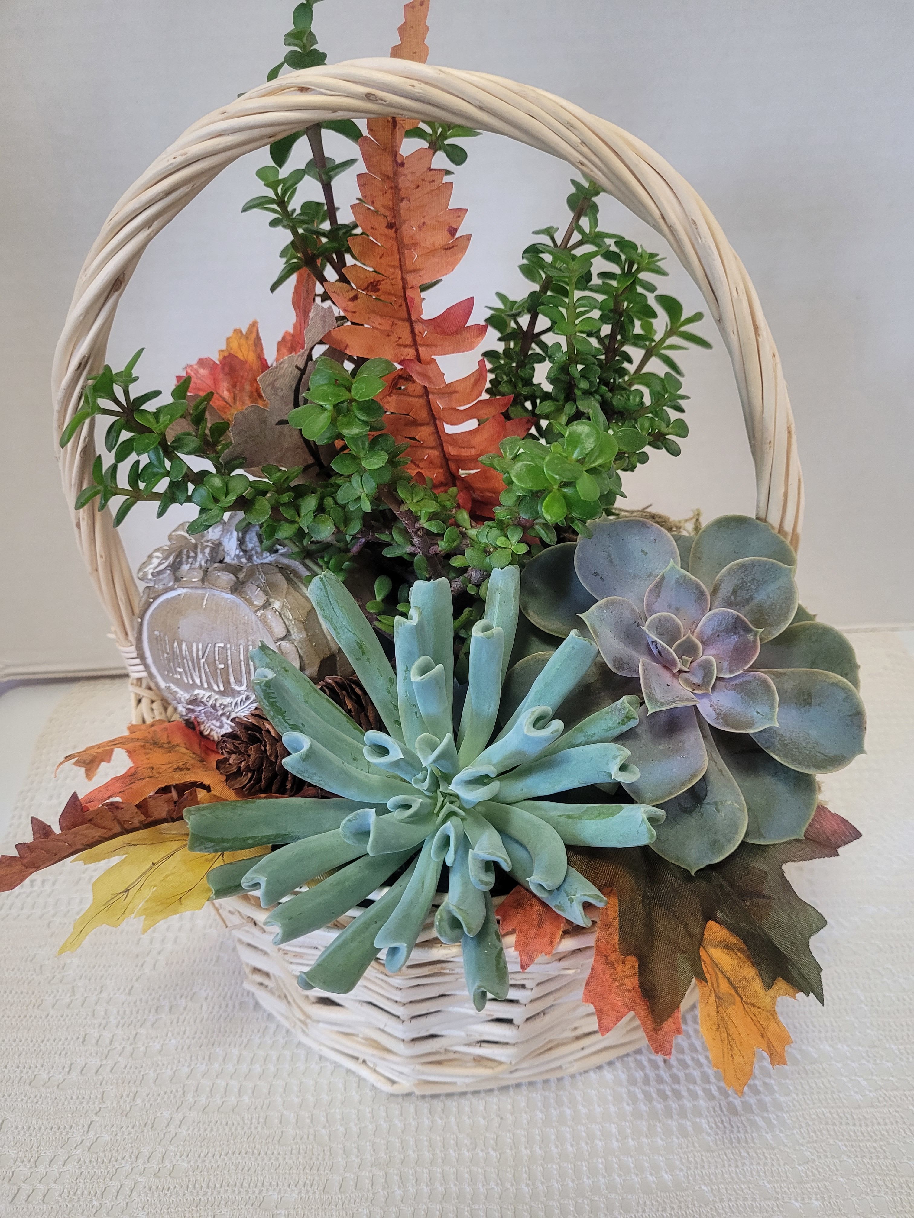 Harvest Dish Basket  - It's fall, right? This harvest basket planted with hardy succulents and featuring lots of fall embellishments including a ceramic &quot;thankful&quot; pumpkin. It is would look appropriate as a centerpiece. 