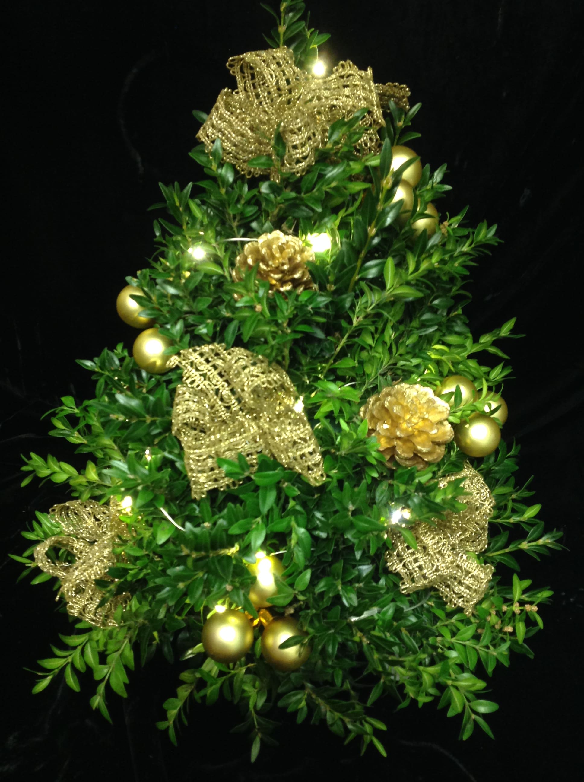 Gold Boxwood  - Our Boxwood with all the gold adornments, as well as fairy lights! Approximately 18” tall