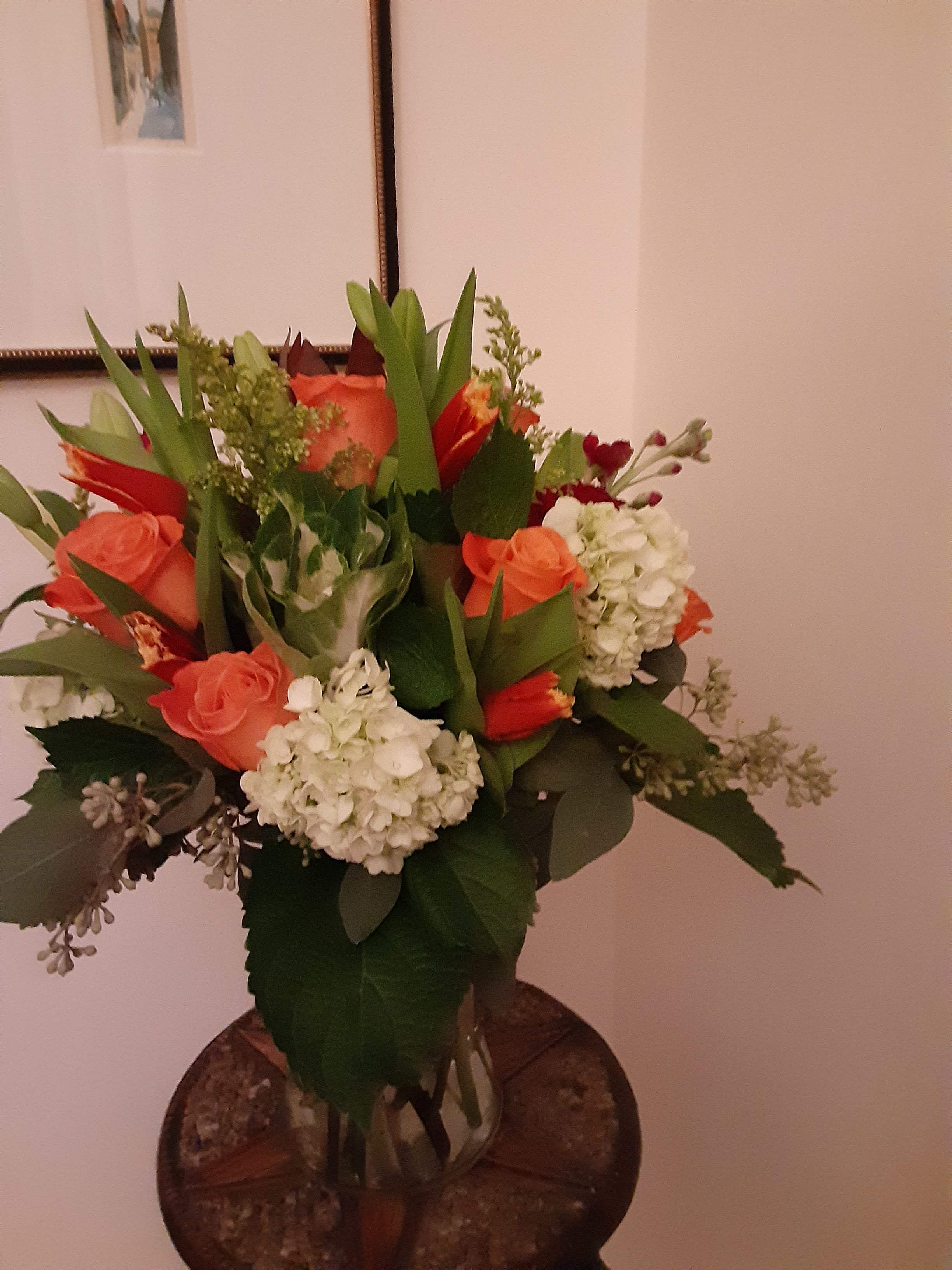 orange plus - bright and lush