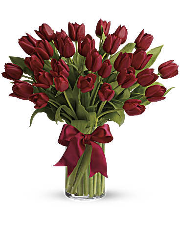 Radiantly Red Tulips - 30 Beautiful and &quot;simply said&quot; red tulips are a hip way to show you care.  Thirty romantic red Tulips arranged in a clear glass vase.  Approximately 12&quot; W x 14&quot; H  Orientation: All-Around  