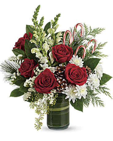 Festive Pines - An instant Christmas party, this festive bouquet bursts with fresh blooms of red and creme colored roses with winter greens and fun-filled candy canes. Red roses, creme roses and white snapdragons are wrapped in a variegated aspidistra leaf and accented with seeded eucalyptus, lemon leaf, flat cedar, white pine, candy canes, and small frosted pinecones. Delivered in clear glass cylinder vase. Orientation: One-Sided DGTWR14-4B