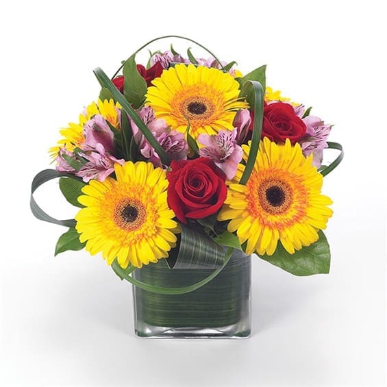 Sunflower Fields - The Ti leaf lined cube vase gives a modern twist to this classic arrangement of gerberas, roses and alstromeria, creating the perfect gift for a birthday or everyday occasion. Measures 12&quot;H by 10&quot;L.