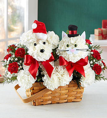 PLAYFUL PAWS - •One-sided 3D arrangement with white carnations; mini red carnations; baby’s breath and assorted greenery